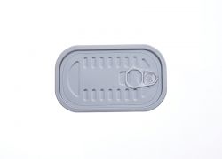 Tinplate / TFS Easy Open Ends-F311(104X59mm)